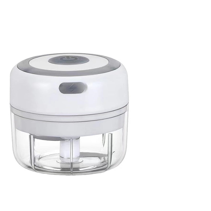 Mini Grinder Chopper
