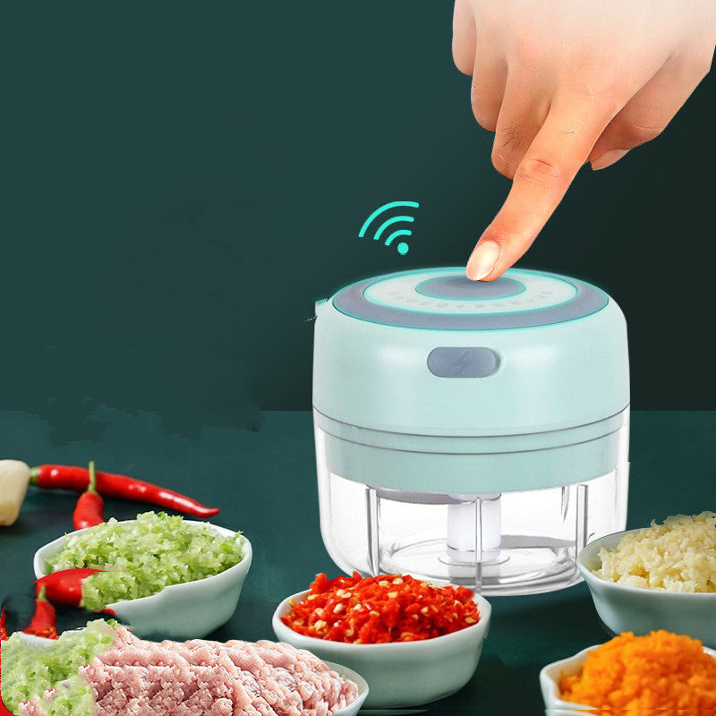 Mini Grinder Chopper