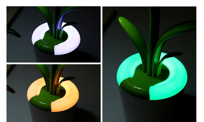 LED Modern Table Lamp