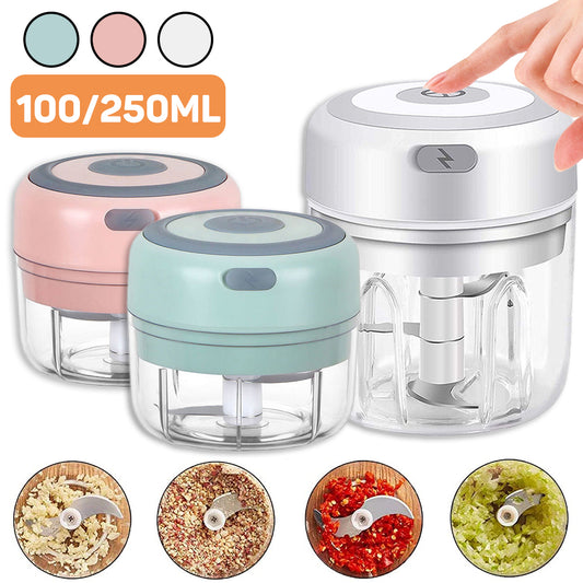 Mini Grinder Chopper