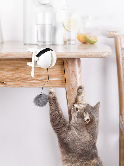Interactive Motion Lifting Cat Toy
