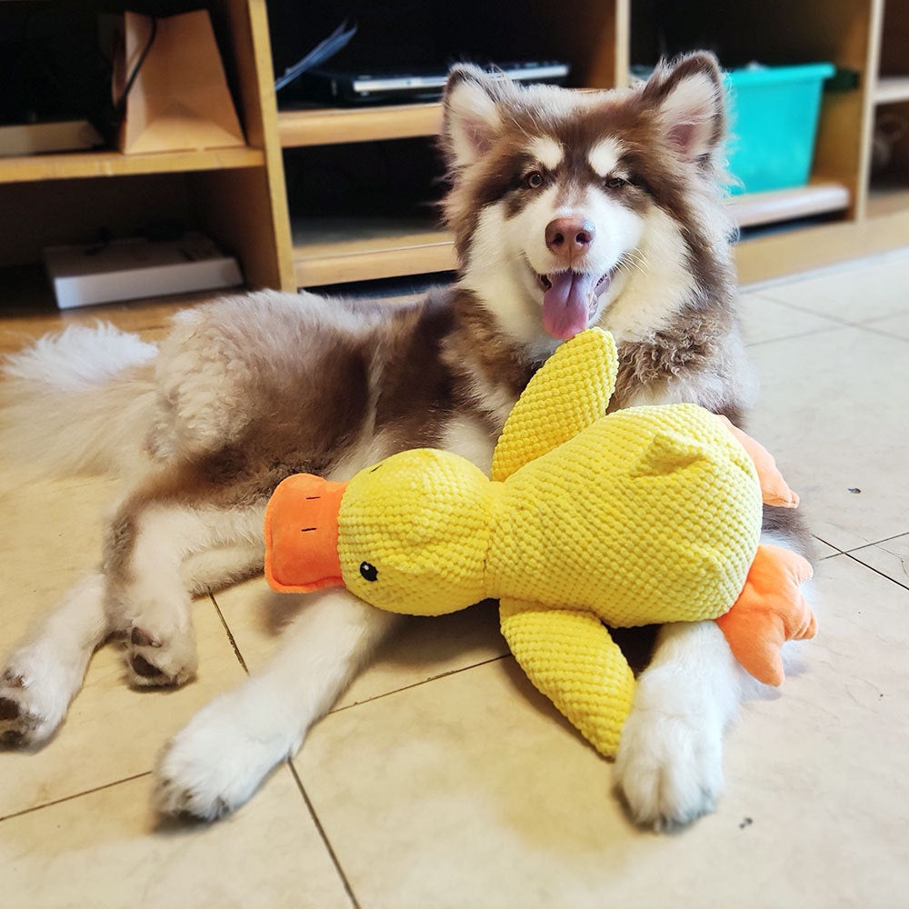Dog Sleeping Duck Toy