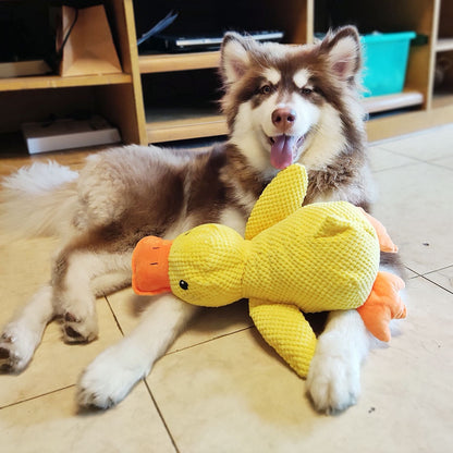 Dog Sleeping Duck Toy