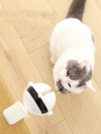 Interactive Motion Lifting Cat Toy