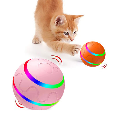 Smart Interactive Pet Ball